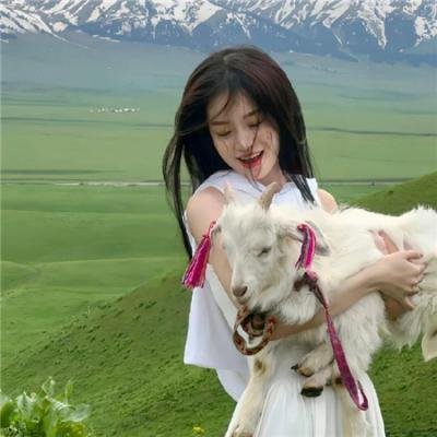 武林猛虎