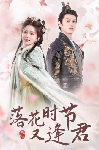 白色毒网 封面图